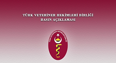 Veteriner hekimlere yönelik şiddet alarm veriyor: 