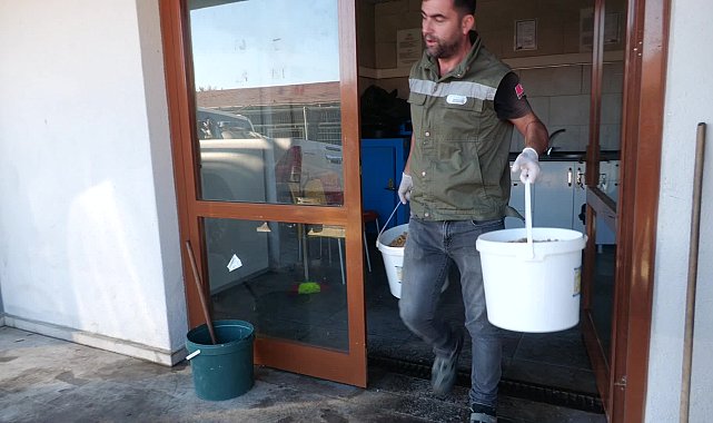 Esenyurt Belediyesi can dostları unutmuyor… Besleme noktalarına mama ve su desteği sürüyor