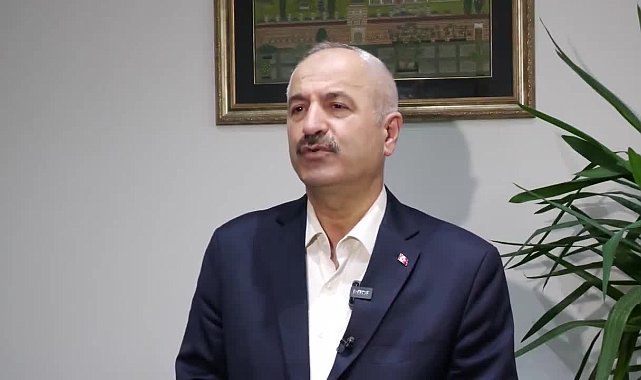 Gebze'deki hayvan katliamı... Belediye Başkanı Büyükgöz: