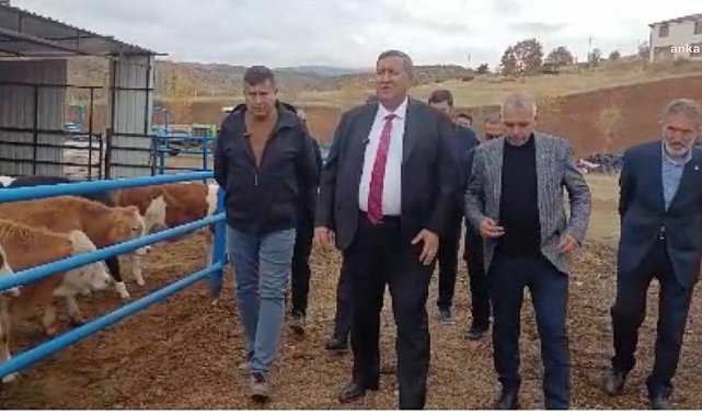 Ömer Fethi Gürer: Et ithalatıyla piyasanın dengesi bozuluyor, üretici emeğinin karşılığını alamıyor