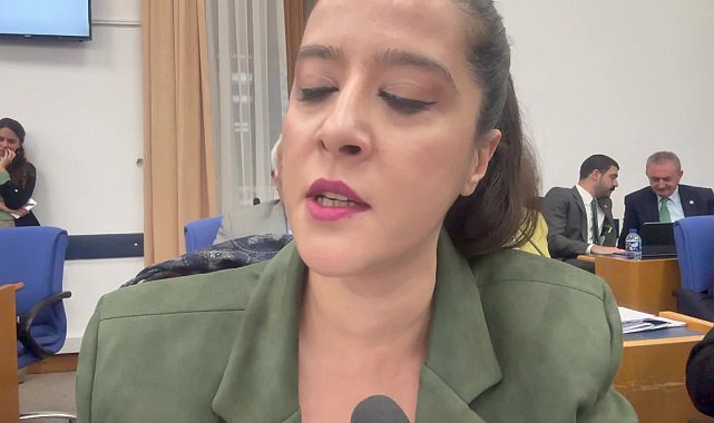 Plan ve Bütçe Komisyonu'nda EMEP'li Karaca, Bakan Şimşek'e kadın işçilerin mektuplarını okudu: