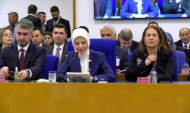 TBMM Plan ve Bütçe Komisyonu... Bakan Göktaş: