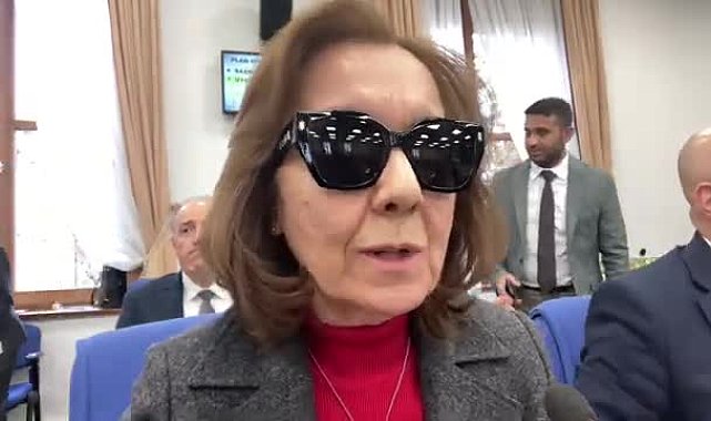 TBMM Plan ve Bütçe Komisyonu... Özbudun'dan