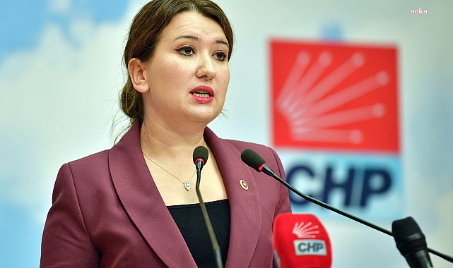 CHP'li Gökçen'den Bakan Tunç'a: