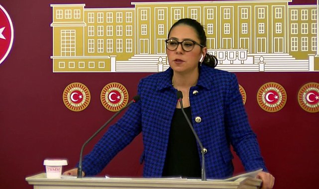 Kadıgil, Milli Savunma Bakanlığı bütçesini eleştirdi...