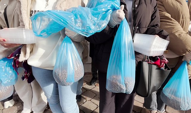 Kuşadası’nda üniversite öğrencileri can dostları besledi