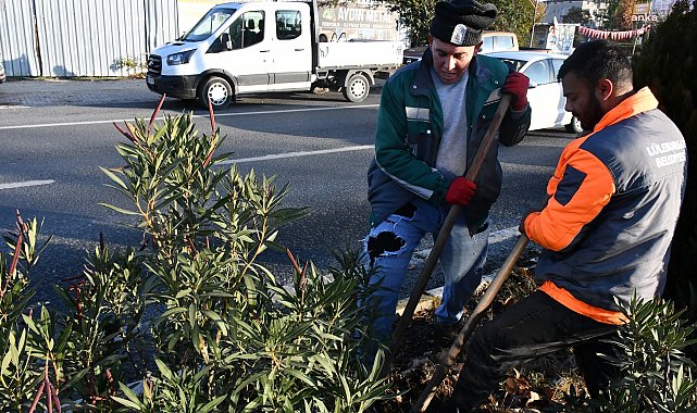 Lüleburgaz Belediyesi, Murat Hüdavendigar Caddesi’nde peyzaj çalışmalarına başladı