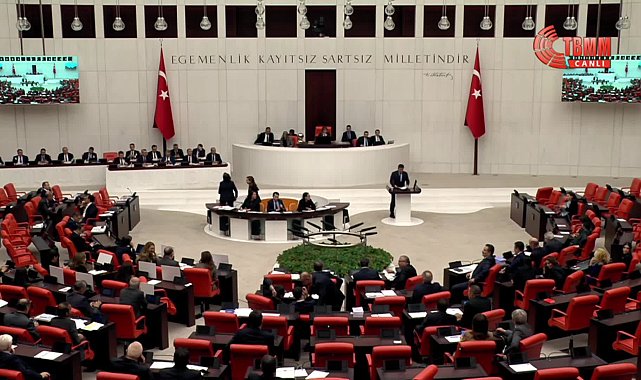 TBMM Genel Kurulu... DEM Partili Tiryaki: