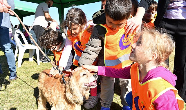 Tepebaşı’nda 2024 yılında 607 can dost, sıcak bir yuvaya kavuştu