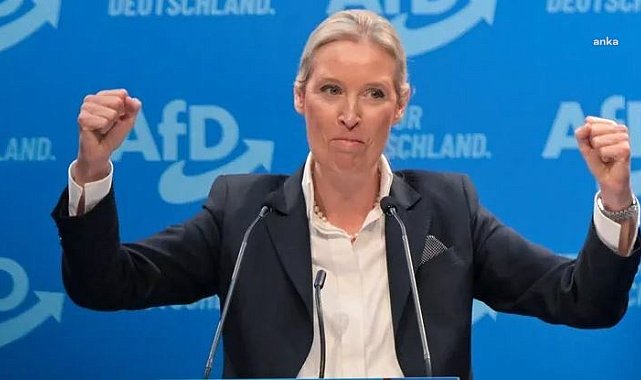 Almanya’da yükselişteki aşırı sağcı Almanya için Alternatif Partisi'nin (AfD) yasaklanması tartışmaları alevlendi