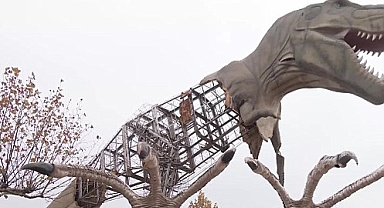 Ankapark için Gökçek'in servet ödediği dinozorlar, bugün üçte birine fiyatına satılıyor