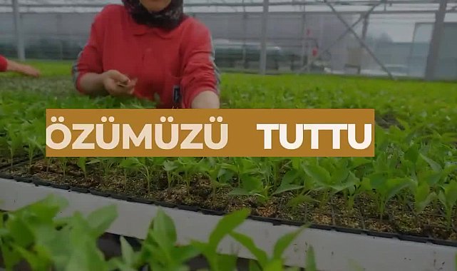 Ankara Büyükşehir Belediyesi Kırsal Hizmetler Daire Başkanlığı, 2024 yılına ait faaliyet raporunu yayımladı... Mansur Yavaş:
