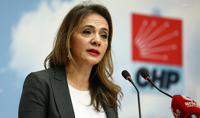CHP’li Gamze Akkuş İlgezdi: