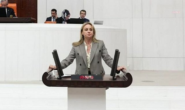 DEVA Partili Ösen 'Yeni Yol Grubu'nda yer almayacak