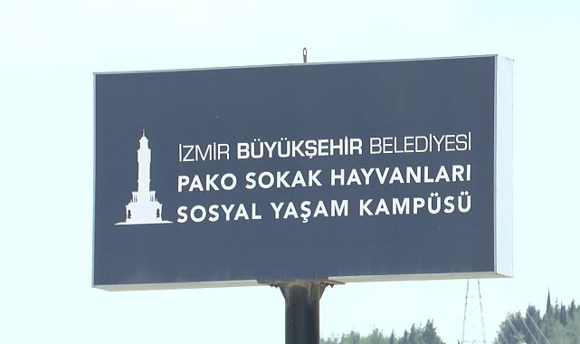 İzmir Büyükşehir Belediyesi: 2024 yılında 25 bin hayvan kısırlaştırıldı, bin 200 hayvan sahiplendirildi