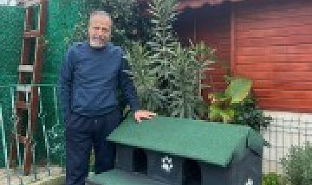 Silivri Belediyesi’nin dönüştürdüğü ahşap malzemeler, sokak kedilerine ev oluyor