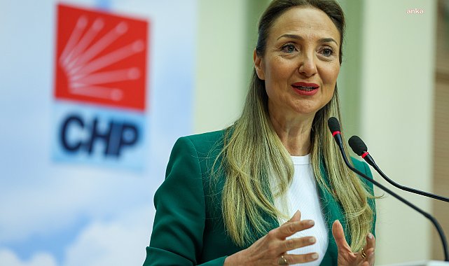 CHP’li Nazlıaka’dan Arda Tonbul davasına ilişkin açıklama: Çocukları köle gibi gören zihniyetinize de lanet olsun!