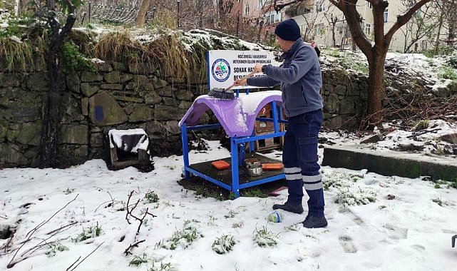 Karadeniz Ereğli Belediyesi, soğuk havada sokaktaki canları unutmadı