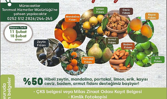 Milas Belediyesi, üreticiye yüzde 50 hibeli fidan desteği verecek