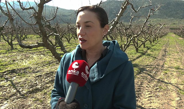 Valiliğin JES kararına Efes Selçuk Belediye Başkanı Sengel’den rest: O JES’lerin Efes Selçuk sınırlarına girmesine müsaade etmeyeceğiz