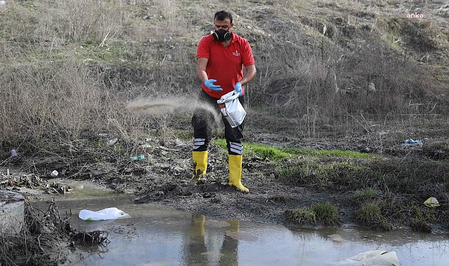 Çankaya Belediyesi ekiplerinden ilçe genelinde ilaçlama mesaisi