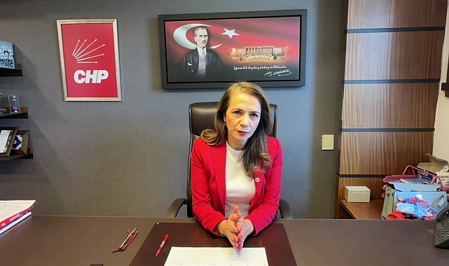 CHP’li İlgezdi: