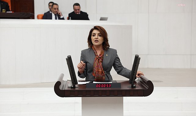 Gülcan Kış'tan iktidara 'Aile Yılı' eleştirisi: Aileyi desteklemek yerine koleksiyonculara hatıra ürettiler