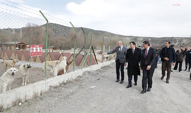 Kütahya Belediye Başkanı Kahveci, sokak hayvanları için oluşturulacak alanda incelemelerde bulundu