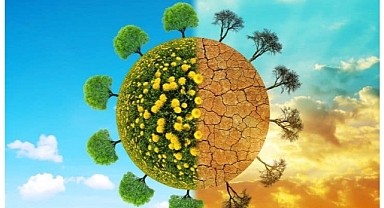 Alarm zilleri çalıyor! 2024 Avrupa için rekor sıcaklıkların ve felaketlerin yılı oldu!