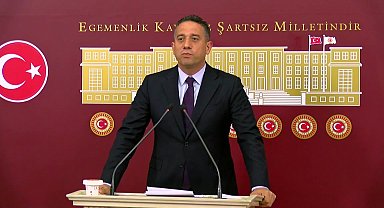 Ali Mahir Başarır: 