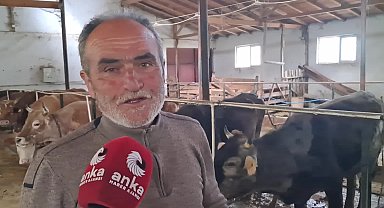 Artvinli üretici: ”Kurbanlıklar var ama alıcı yok”