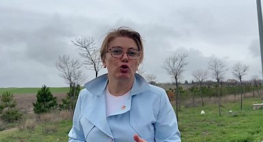 Asu Kaya'dan Bakan Memişoğlu'na tepki: