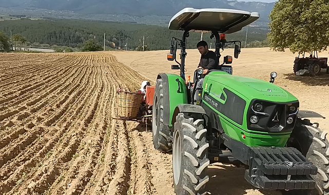 Aydınlı tütün üreticisi:
