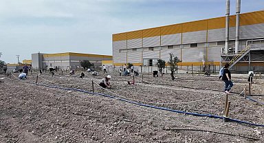 Bornovalı kadınlar Kent Bostanı’nda kendi elleriyle üretiyor 