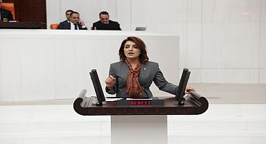 CHP'li Gülcan Kış, İstanbul’da meydana gelen depremin ardından yaşanan iletişim kesintilerini TBMM'ye taşıdı