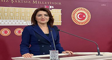 CHP'li Gülcan Kış'tan 23 Nisan açıklaması: 