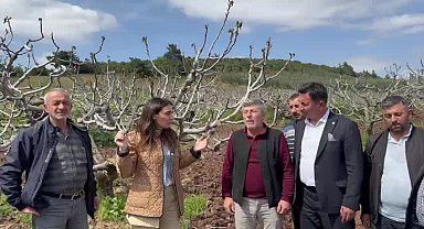 CHP’li Kayışoğlu: “Bursa'daki kara incir üreticilerimizin zararı mutlaka ve hemen giderilmelidir”