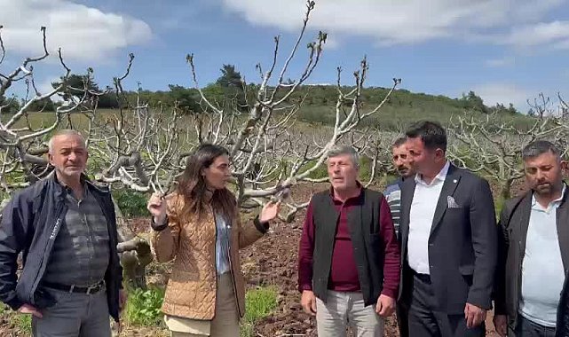 CHP’li Kayışoğlu: “Bursa'daki kara incir üreticilerimizin zararı mutlaka ve hemen giderilmelidir”