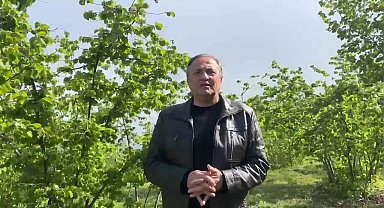 CHP’li Torun: “Zirai don sebebiyle randımanı düşen fındık serbest piyasada 175 Liraya satılırken, TMO piyasaya 125 liradan satış yaparak ülkemize ihanet ediyor”