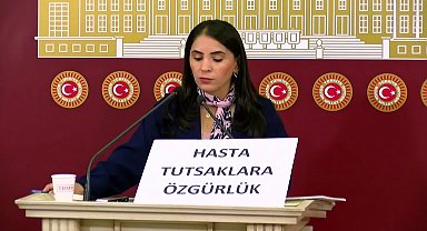 DEM Partili Nevroz Uysal: