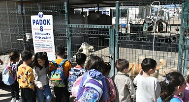 Didim Belediyesi Sokak Hayvanlarını Koruma ve Rehabilitasyon Merkezi, ilkokul öğrencilerini ağırladı
