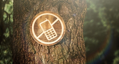 Dijital detoks yapmazsanız beyniniz küçülüyor! Uzmanlar uyarıyor: 'Bu belirtiler varsa hemen telefonu bırakın'