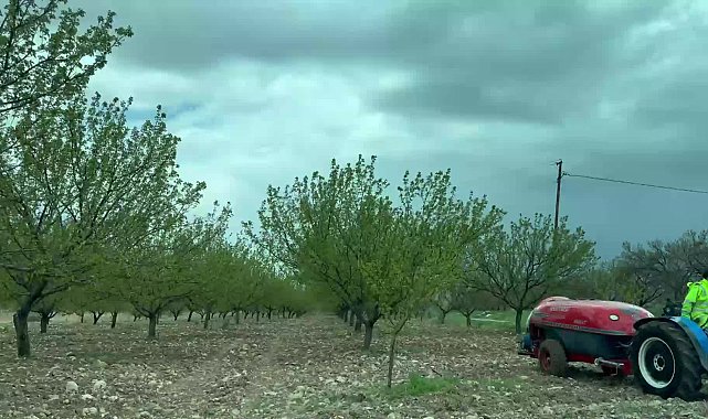 EMEP'li Karaca, zirai don felaketi yaşayan Malatyalı çiftçileri ziyaret etti: Bu mudur çiftçinin yanında durmak?