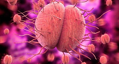 Gonore alarmı! Uzmanlar uyarıyor: 'Bu belirtiler varsa hemen doktora gidin'