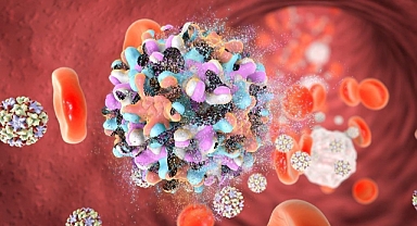 Hepatit B alarmı! Türkiye’de her 3 kişiden 1'i taşıyıcı olabilir: İşte hayat kurtaran önlemler!