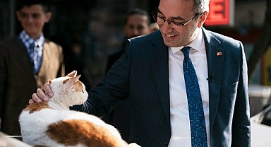 İstanbul Büyükşehir Belediyesi Genel Sekreter Yardımcısı Mahir Polat tahliye edildi