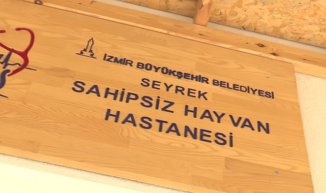 İzmirli veteriner hekimlerden ‘barınak’ çağrısı: “Barınaklarda kalbinizi çalacak canlar var”