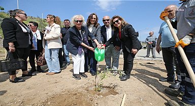 Karşıyaka’da zeytin fidanları toprakla buluştu