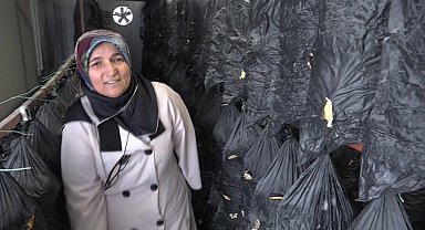 Malatyalı kadınlar istiridye mantarı üretimiyle aile bütçelerine katkı sağlıyor
