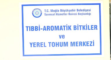 Muğla Büyükşehir Belediyesi, 22 milyon yerel tohumu toprakla buluşturdu